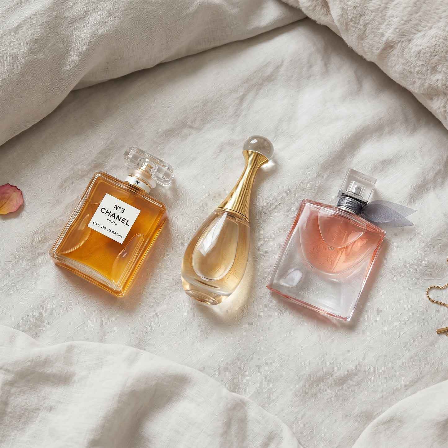 Set Premium de Perfumes 100ML + Crema y Perfumero GRATIS - solo hoy🎁